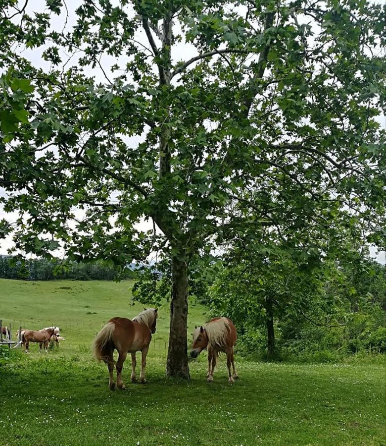 Monte Termine Country House Rioveggio Kültér fotó