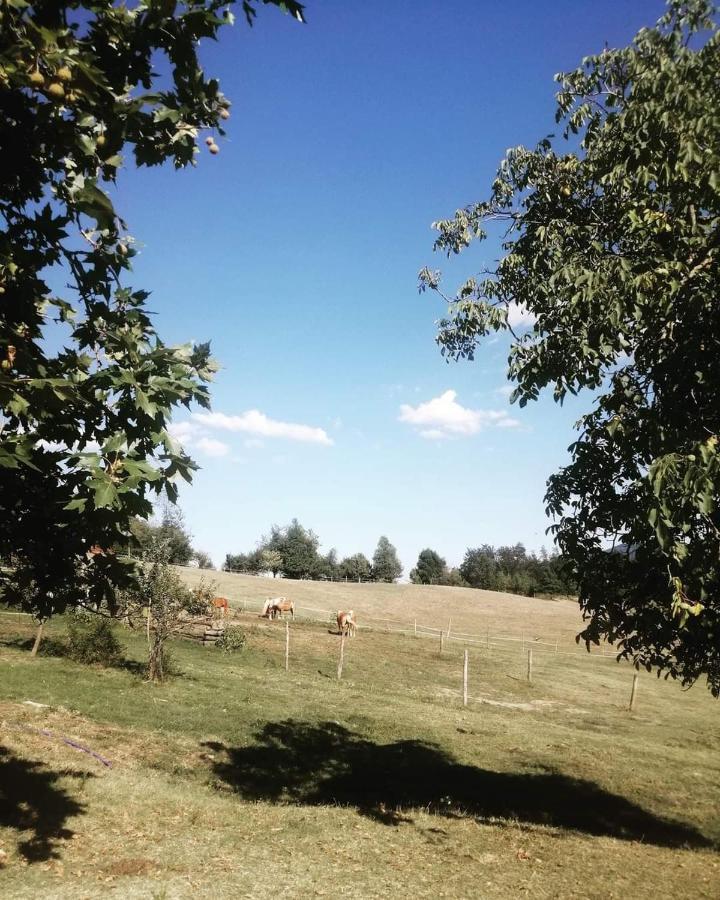Monte Termine Country House Rioveggio Kültér fotó