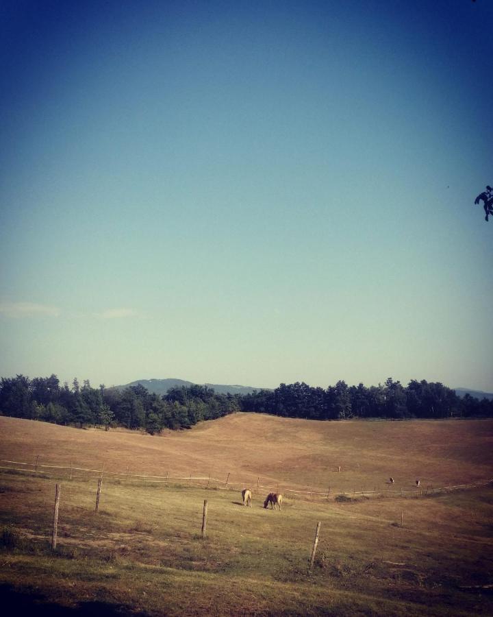 Monte Termine Country House Rioveggio Kültér fotó