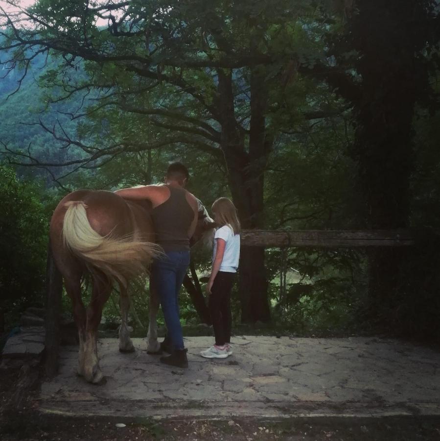Monte Termine Country House Rioveggio Kültér fotó