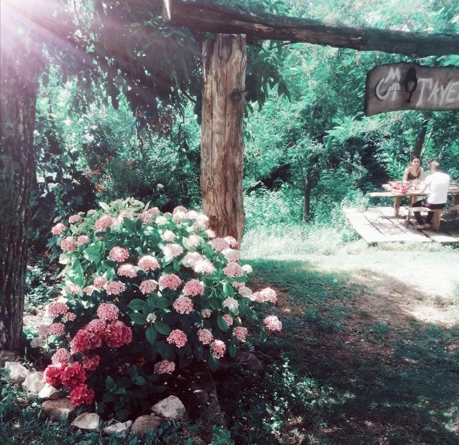 Monte Termine Country House Rioveggio Kültér fotó