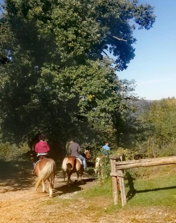 Monte Termine Country House Rioveggio Kültér fotó