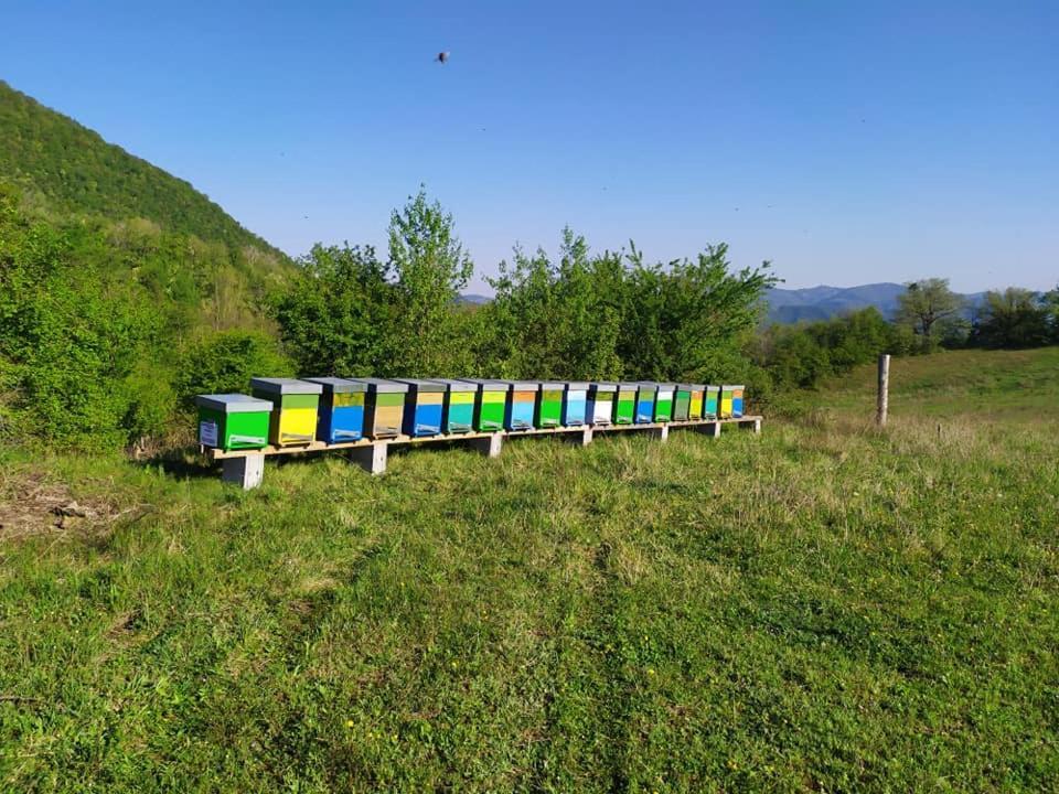 Monte Termine Country House Rioveggio Kültér fotó