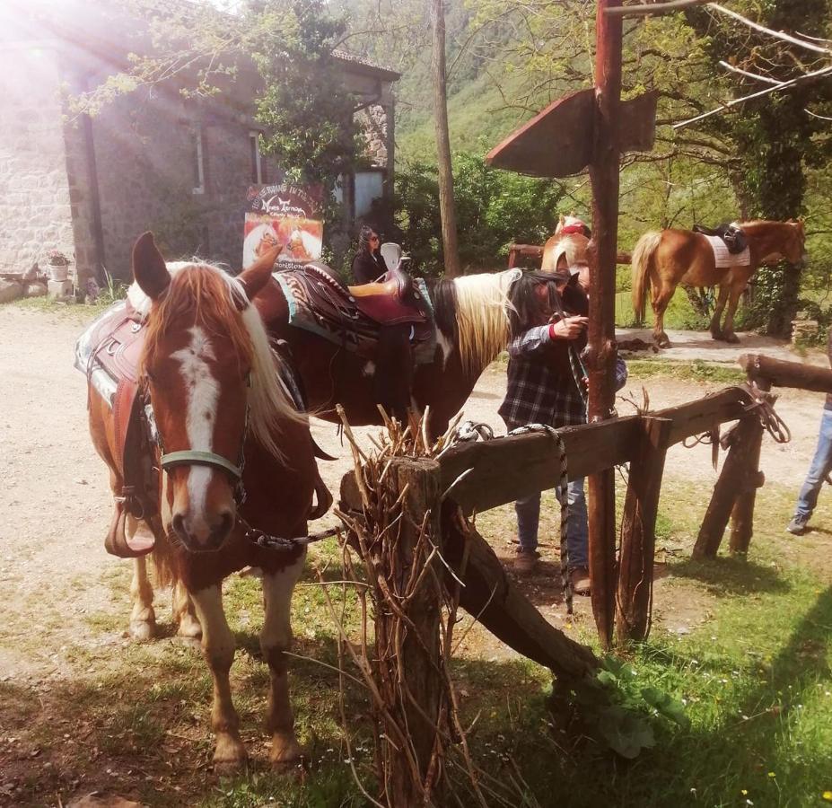 Monte Termine Country House Rioveggio Kültér fotó
